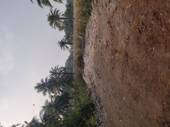 Property for sale in Amtala, Kolkata