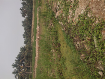 Residential Plot for Sale in Khariberia, Kolkata (720 Sq.ft.)