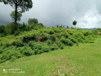 55 Bigha Industrial Land / Plot for Sale in Kumarhatti, Solan