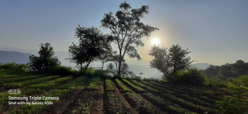 10 Bigha Agricultural/Farm Land for Sale in Morni, Panchkula