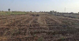 Residential Plot For Sale In Chevella, Rangareddy (12.5 Guntha)