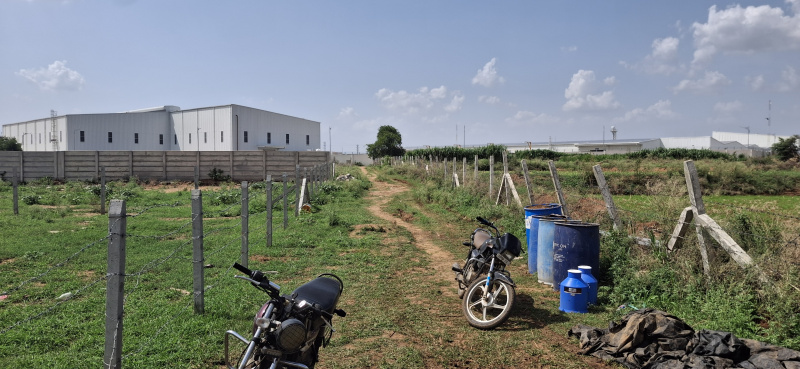 Residential Plot For Sale In Shabad, Rangareddy (6 Guntha)
