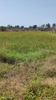 6000 Sq.ft. Agricultural/Farm Land for Sale in Ratanpur Road, Bilaspur
