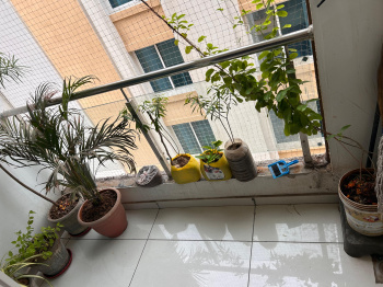 3 BHK Flats & Apartments for Sale in Harni, Vadodara (770 Sq.ft.)