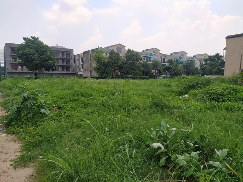 150 sqyrd Plot for Sale in Omaxe Phase 3,New Chandigarh