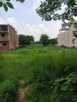 Residential Plot For Sale in Omaxe New Chandigarh