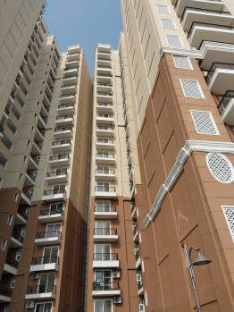 3 BHK Flats & Apartments for Sale in SAS Nagar Phase 1, Mohali (1775 Sq.ft.)