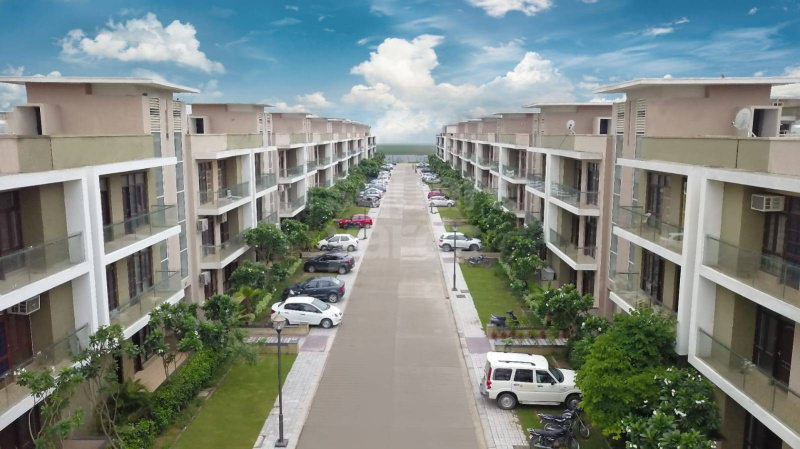 3BHK Ground Floor For Sale in Cassia Omaxe Phase 3 New Chandigarh