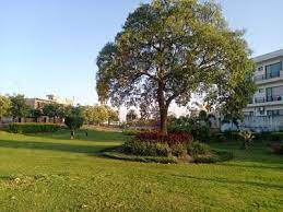 250Sqyards Park Facing plot Available in Mohali sector 74