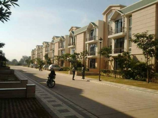 3 BHK Flats & Apartments for Sale in New Chandigarh, Chandigarh (1100 Sq.ft.)