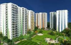 3 BHK Flats & Apartments for Sale in Sector 88, Mohali (2085 Sq.ft.)