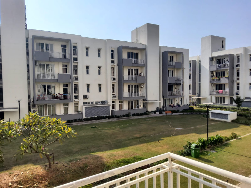 3 BHK Flats & Apartments for Sale in Sector 99, Mohali (1200 Sq.ft.)