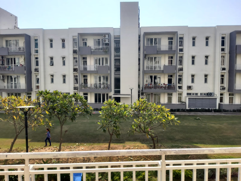 3 BHK Flats & Apartments for Sale in Sector 99, Mohali (1200 Sq.ft.)
