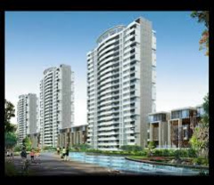 3 BHK Flats & Apartments for Sale in New Chandigarh, Chandigarh (1800 Sq.ft.)
