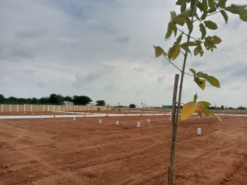 Property for sale in Manikandam, Tiruchirappalli
