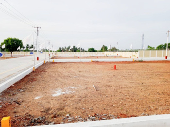 1201 Sq.ft. Residential Plot for Sale in Fathima Nagar, Tiruchirappalli