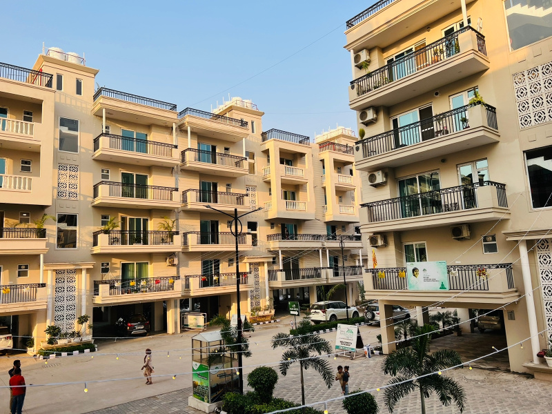 3 BHK Flats & Apartments for Sale in Sector 20, Panchkula (195 Sq. Yards)