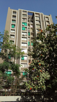 3 BHK Flats & Apartments for Rent in Satellite, Ahmedabad (2070 Sq.ft.)