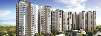 3 BHK Flats & Apartments for Sale in Sector 70, Faridabad (1375 Sq.ft.)