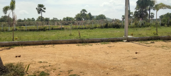 300 Sq. Yards Residential Plot for Sale in Yadagirigutta, Nalgonda