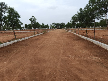 HMDA plot at choutuppal municipality Tangedupally