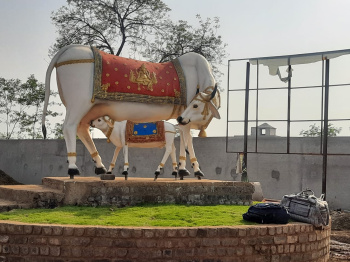 BEST LOCATED PROPERTY OF OLD DHAMTARI ROAD RAIPUR