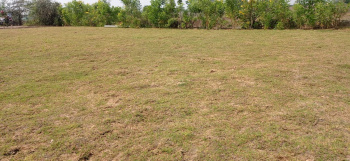 Property for sale in Kathadih Village, Raipur
