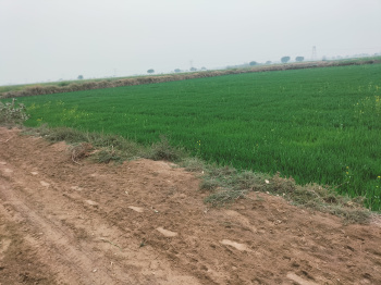 918 Sq. Yards Agricultural/Farm Land for Sale in Tappal, Aligarh
