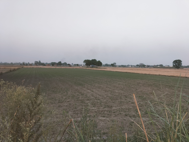 6 Bigha Agricultural/Farm Land For Sale In Jattari, Aligarh