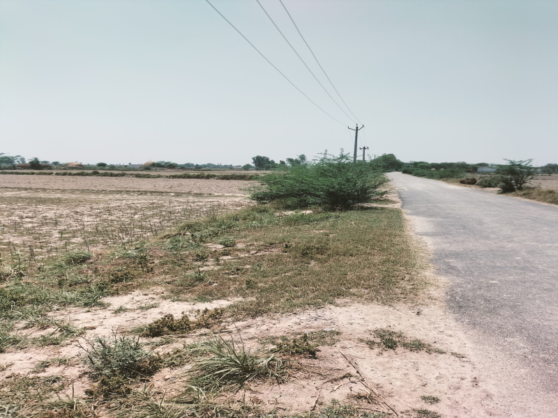 12 Bigha Agricultural/Farm Land For Sale In Jattari, Aligarh