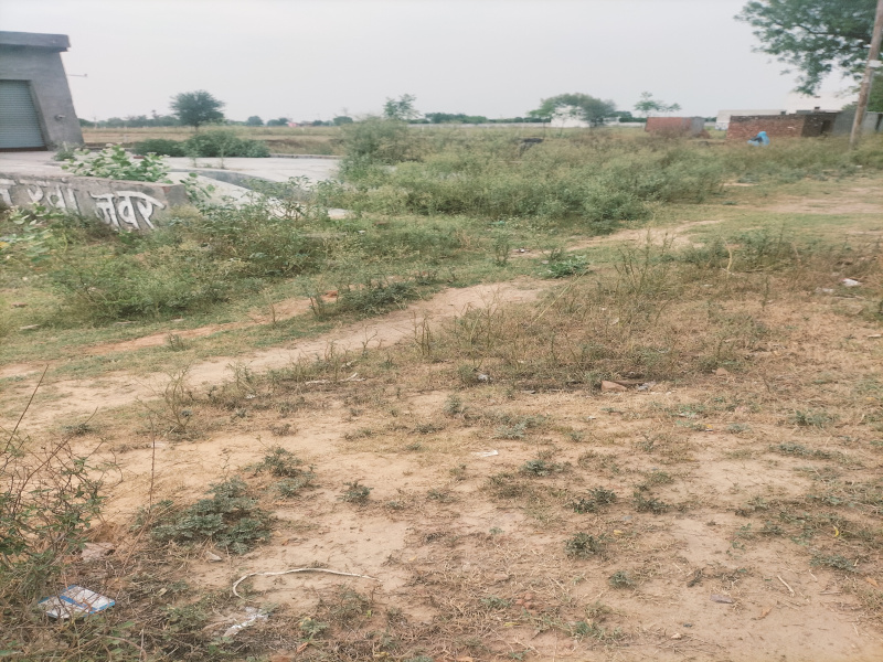 6 Bigha Agricultural/Farm Land For Sale In Jewar, Gautam Buddha Nagar