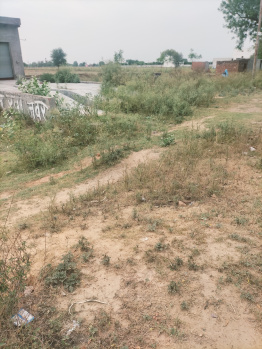 Property for sale in Jattari, Aligarh