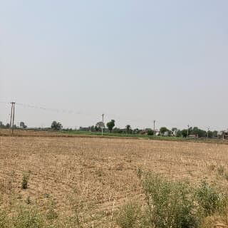 10 Acre Agricultural/Farm Land for Sale in Sector 59, Gurgaon