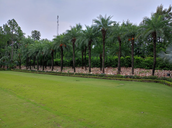 115 Sq. Yards Residential Plot for Sale in Sector 104, Gurgaon