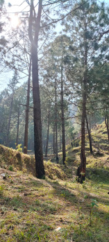 Residential Plot For Sale Near Nag - Tibba Track Sirs Dhanaulti