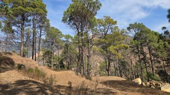 Property for sale in Dhanaulti, Tehri Garhwal