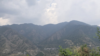 Plot For Sale - Near Nag - Tibba Track Sirs Dhanaulti