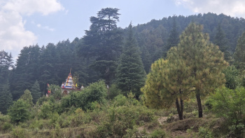 Property for sale in Dhanaulti, Tehri Garhwal