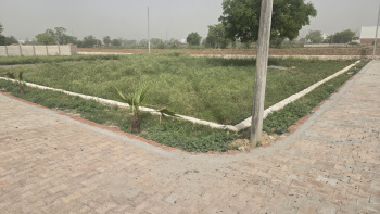 Property for sale in Jhajhar, Gautam Buddha Nagar