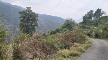 Property for sale in Dhanaulti, Tehri Garhwal