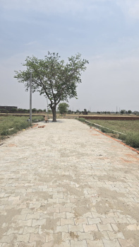 Residential Plot for Sale in Jhajhar, Gautam Buddha Nagar (100 Sq. Yards)
