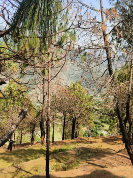Property for sale in Dhanaulti, Tehri Garhwal