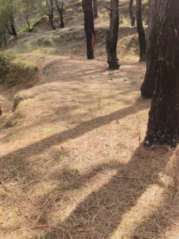 Property for sale in Dhanaulti, Tehri Garhwal