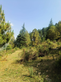 Plot For Homestay, Resort, Residential Plot and Cottage