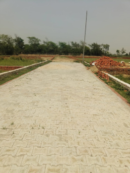 Residential Plot for Sale in Jhajhar, Gautam Buddha Nagar (220 Sq. Yards)