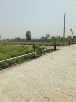 Residential Plot for Sale in Jhajhar, Gautam Buddha Nagar (147 Sq. Yards)