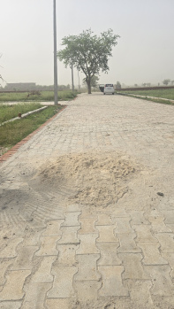 Residential Plot for Sale in Jhajhar, Gautam Buddha Nagar (400 Sq. Yards)