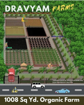 Residential Plot for Sale in Hastinapur, Meerut (1008 Sq. Yards)