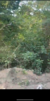 Property for sale in Hastinapur, Meerut