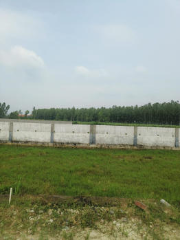 Residential Plot for Sale in Patanjali Yogpeeth, Haridwar (100 Sq. Yards)